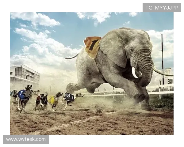 足球明星卡片设计创意与文字搭配技巧分享