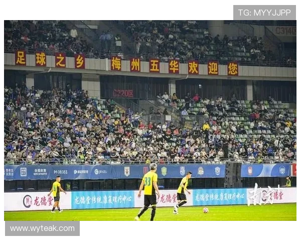 足球明星嘉伟的传奇人生与辉煌成就全景解析